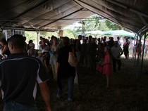 marche-2010-web2