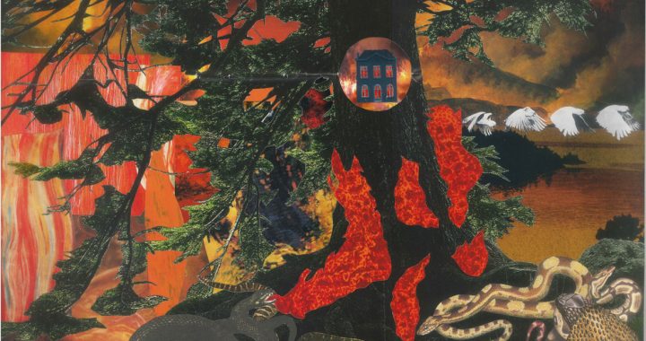 Collages réalisés par Juliette Monbureau